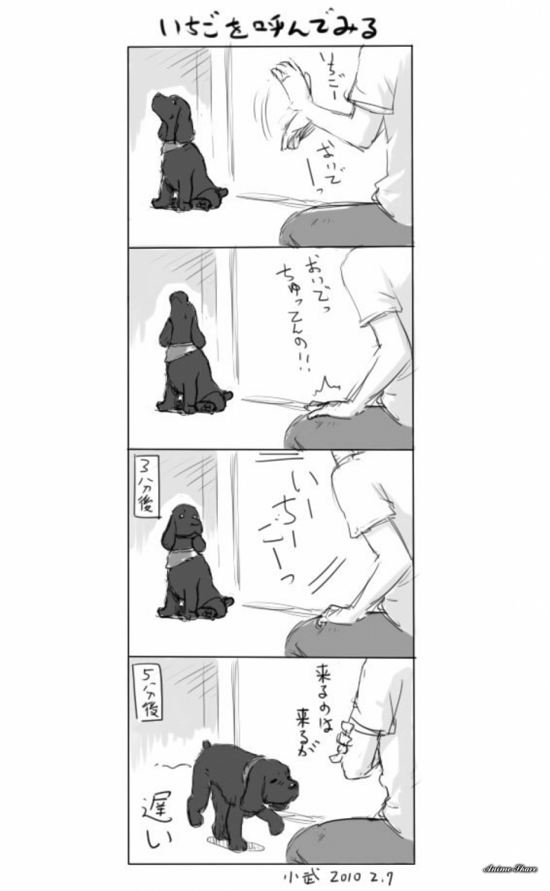 Фотография 339